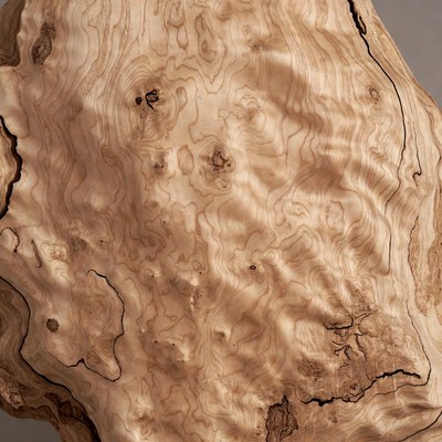 Closeup of burl wood texture