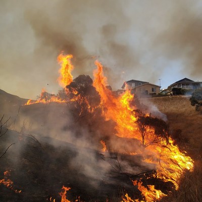 Wildfire Burning Houses and Trees