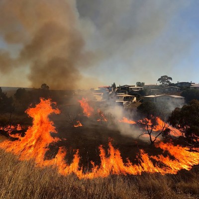 Bushfire engulfing houses and trees