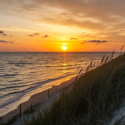 Sunset over beach with sea oats