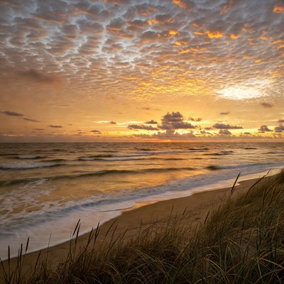 Sunset over ocean beach with dunes