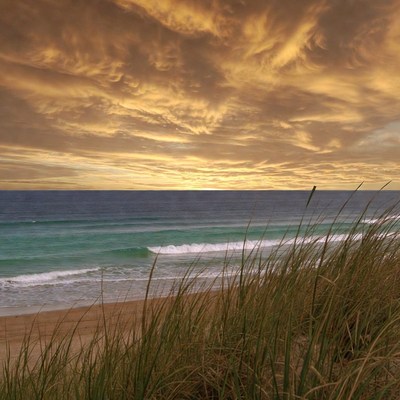 Sunset over beach with sea grass