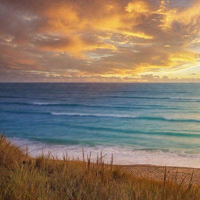 Sunset over ocean beach dunes