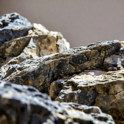 Close-up of textured rocks
