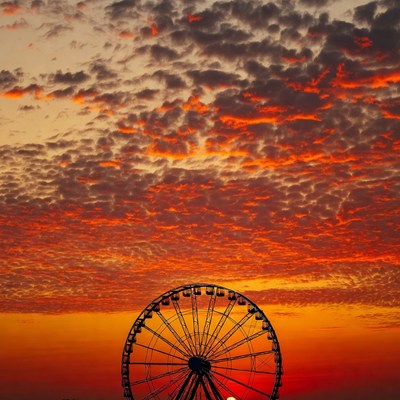 Ferris Wheel at Sunset