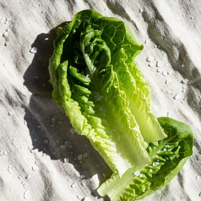 Fresh Lettuce Leaves with Salt