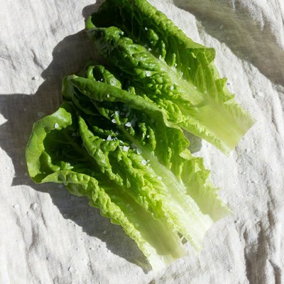 Fresh Lettuce Leaves with Salt