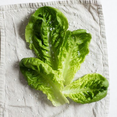 Fresh Lettuce Leaves with Salt