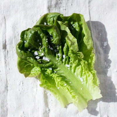 Fresh Lettuce Sprinkled with Salt