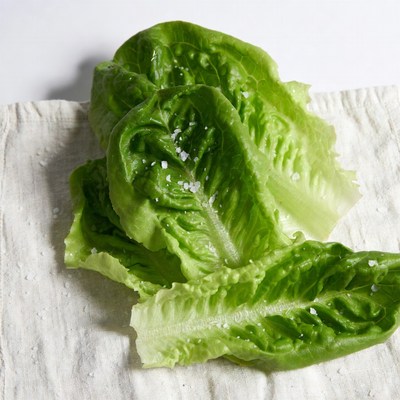 Fresh Lettuce Leaves with Salt