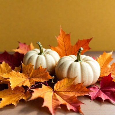 White Pumpkins with Autumn Leaves