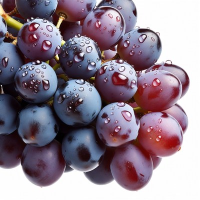Purple Grapes with Water Droplets