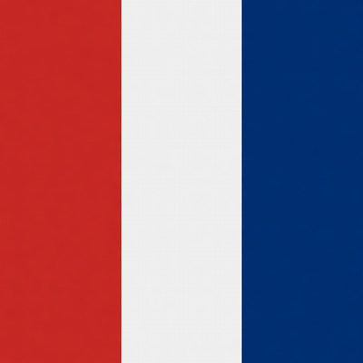 French Flag Vertical Stripes