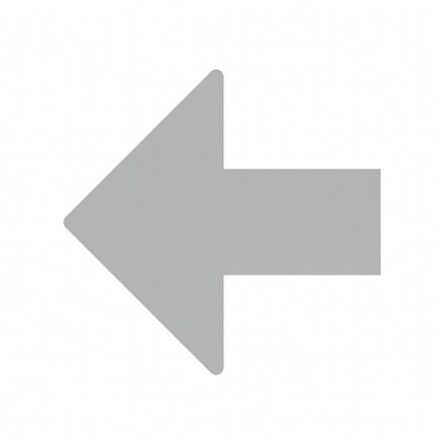 Gray Left Arrow Icon