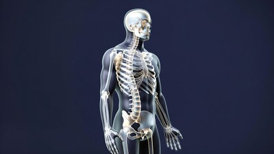 3D Human Skeleton Standing Pose