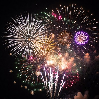 Colorful Fireworks Exploding in Night Sky
