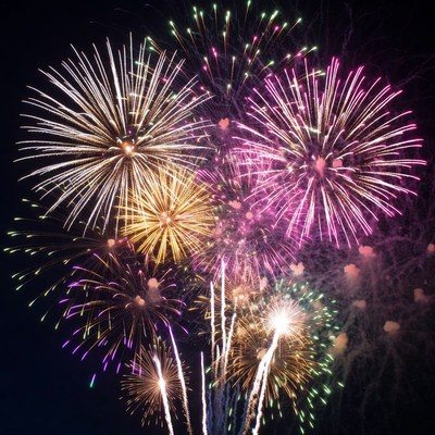 Colorful Fireworks Exploding in Night Sky