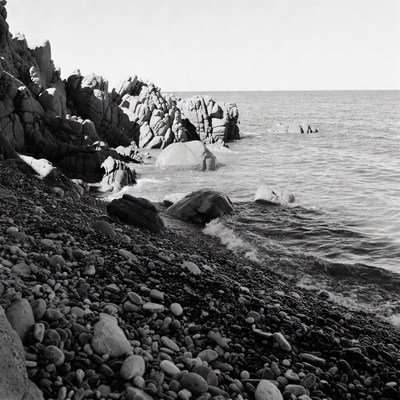 Rocky Shoreline with Swimmers Black and White