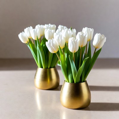 Two Bouquets of White Tulips in Gold Pots