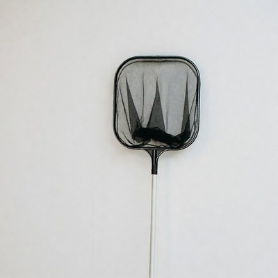 Black Pool Skimmer Net