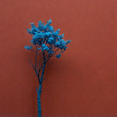 Blue tree against red wall