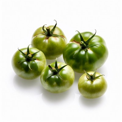 Fresh Green Tomatoes on White Background