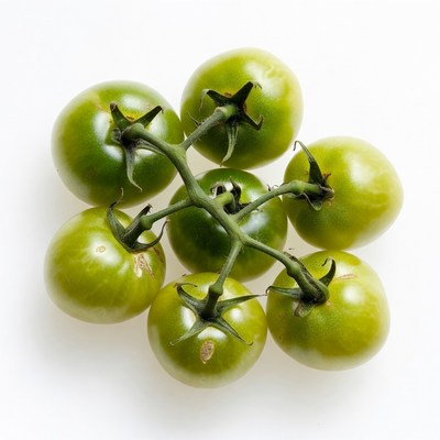 Fresh Green Cherry Tomatoes Cluster