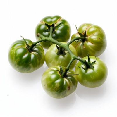 Fresh Green Tomatoes on Stem