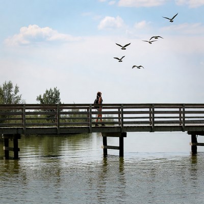 Woman walking on wooden bridge with seagulls