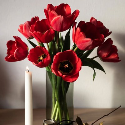 Red Tulips Bouquet with White Candle
