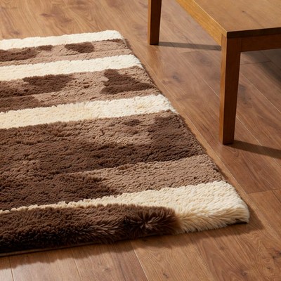 Brown White Striped Shag Rug