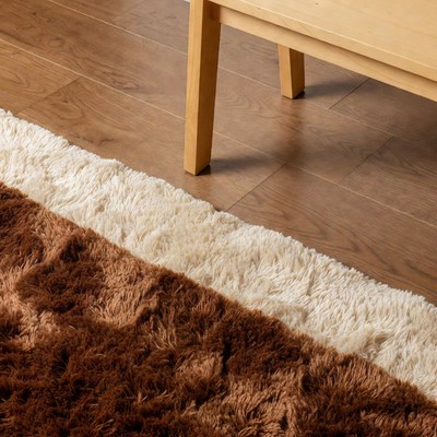 Brown and White Rug on Hardwood Floor