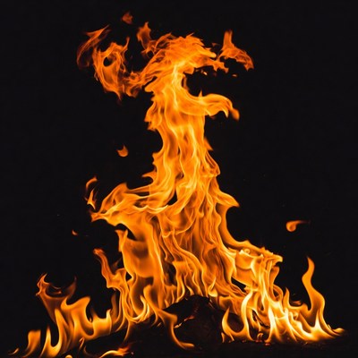 Fiery Dragon Flame Silhouette