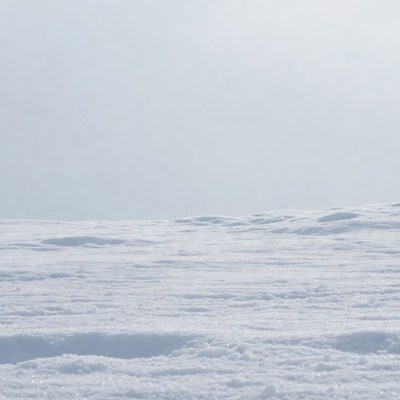 Snowy Landscape with Fresh Snow