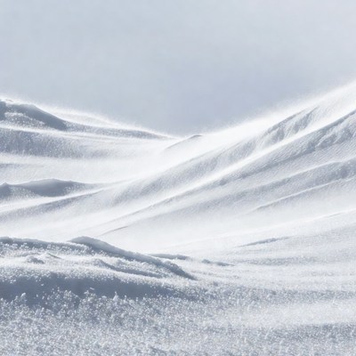 Snowy Landscape with Blowing Snow