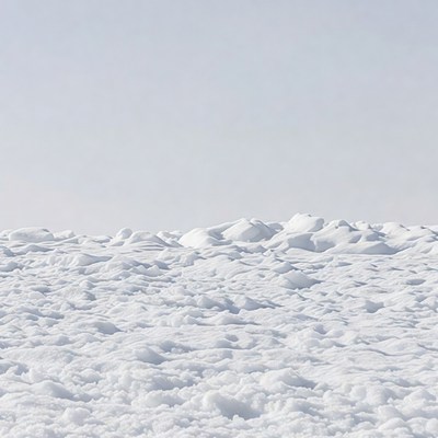 Snowy Landscape with Snow Drifts