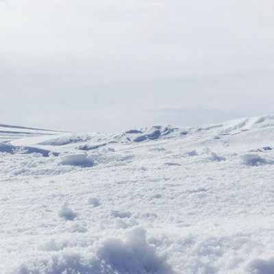 Snowy Landscape with Fresh Powder Snow