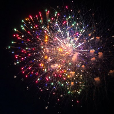 Colorful Fireworks Exploding in Night Sky