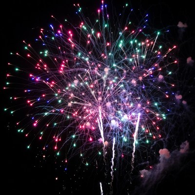 Colorful Fireworks Burst in Night Sky