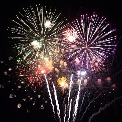 Colorful Fireworks Exploding in Night Sky