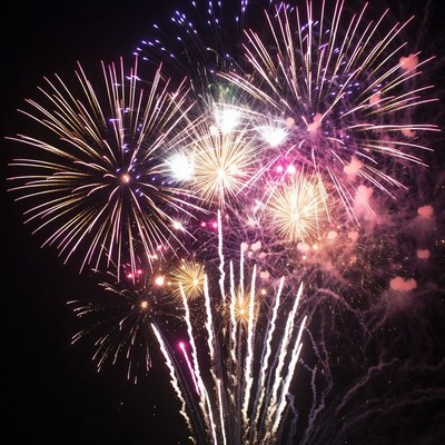 Colorful Fireworks Exploding in Night Sky