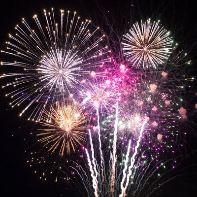 Colorful Fireworks Exploding in Night Sky