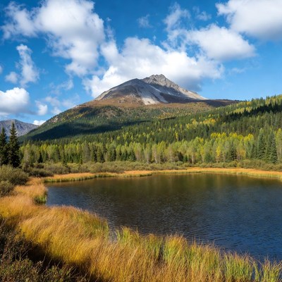 Mountain Lake with Autumn Forest