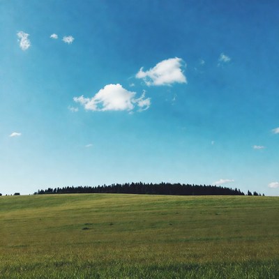 Green hill with pine trees under blue sky
