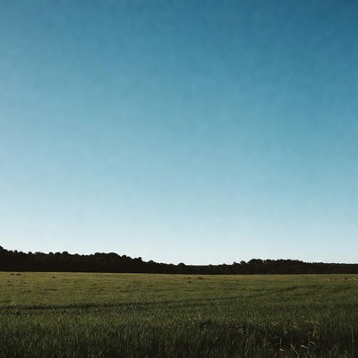Green field under blue sky