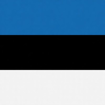 Estonian Flag