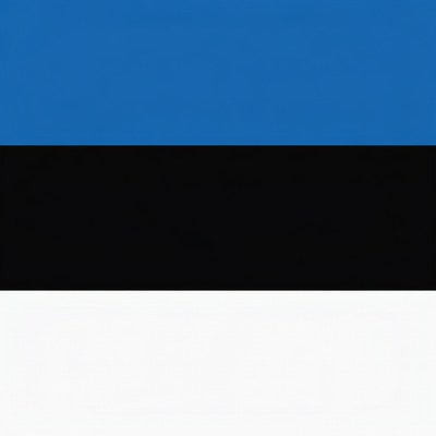 Estonian Flag