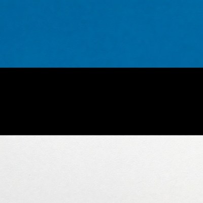 Estonian Flag