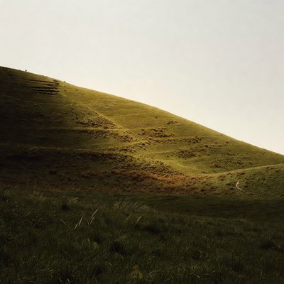 Green hillside with terraced steps