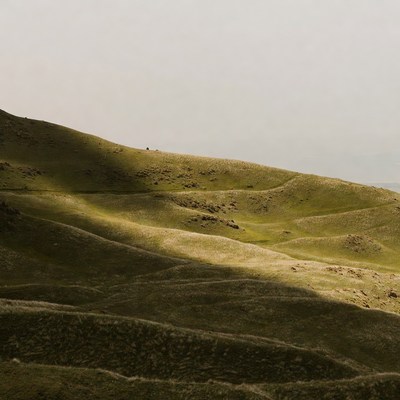 Rolling Green Hills Landscape